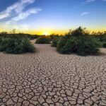 Crossroads of Climate Crisis